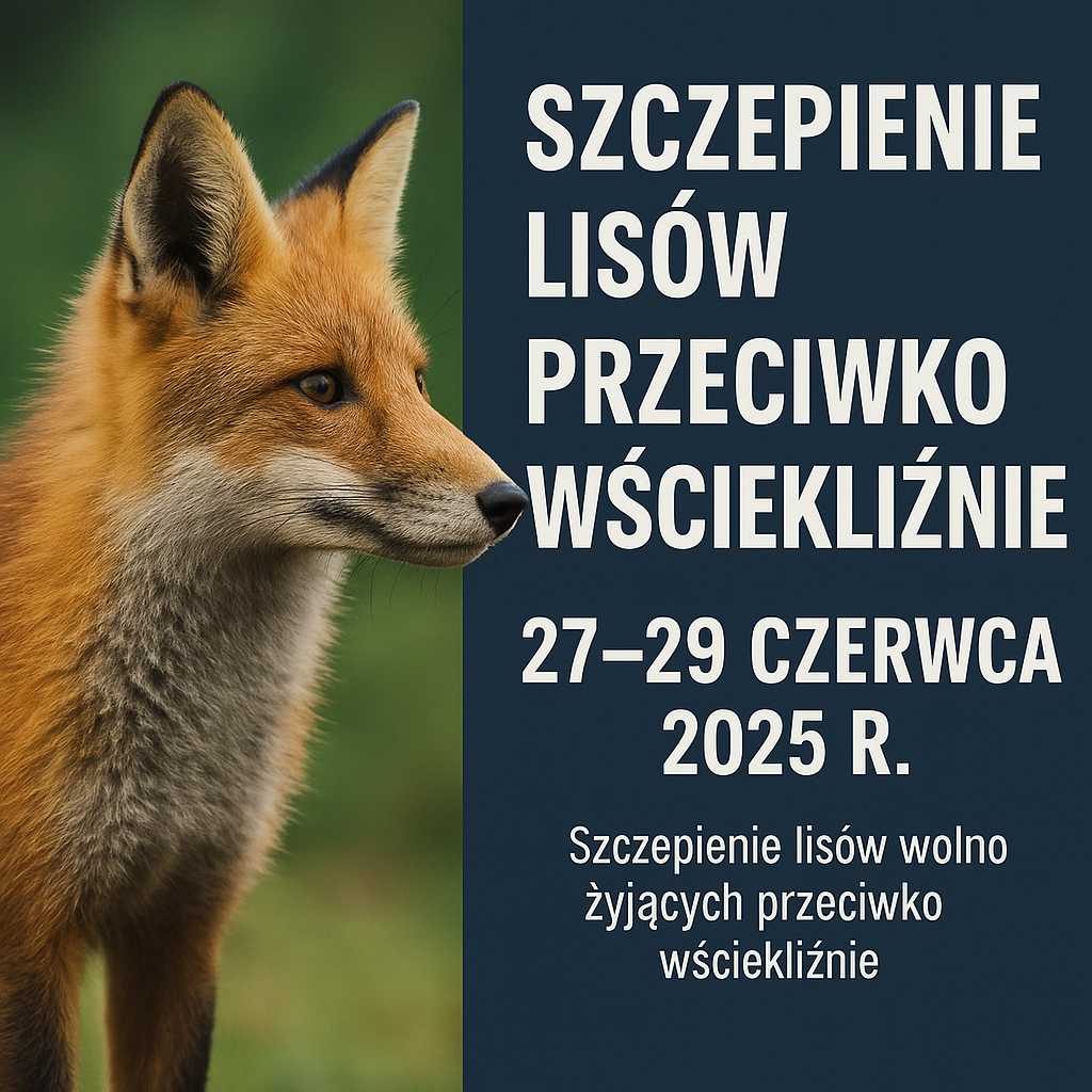 DODATKOWA AKCJA SZCZEPIEŃ LISÓW PRZECIWKO WŚCIEKLIŹNIE