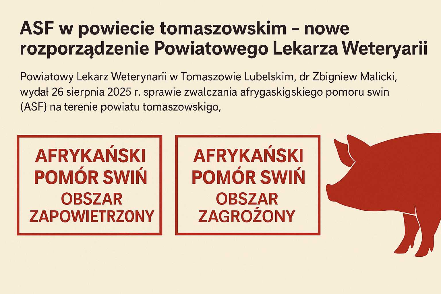 ASF w powiecie tomaszowskim – nowe rozporządzenie Powiatowego Lekarza Weterynarii