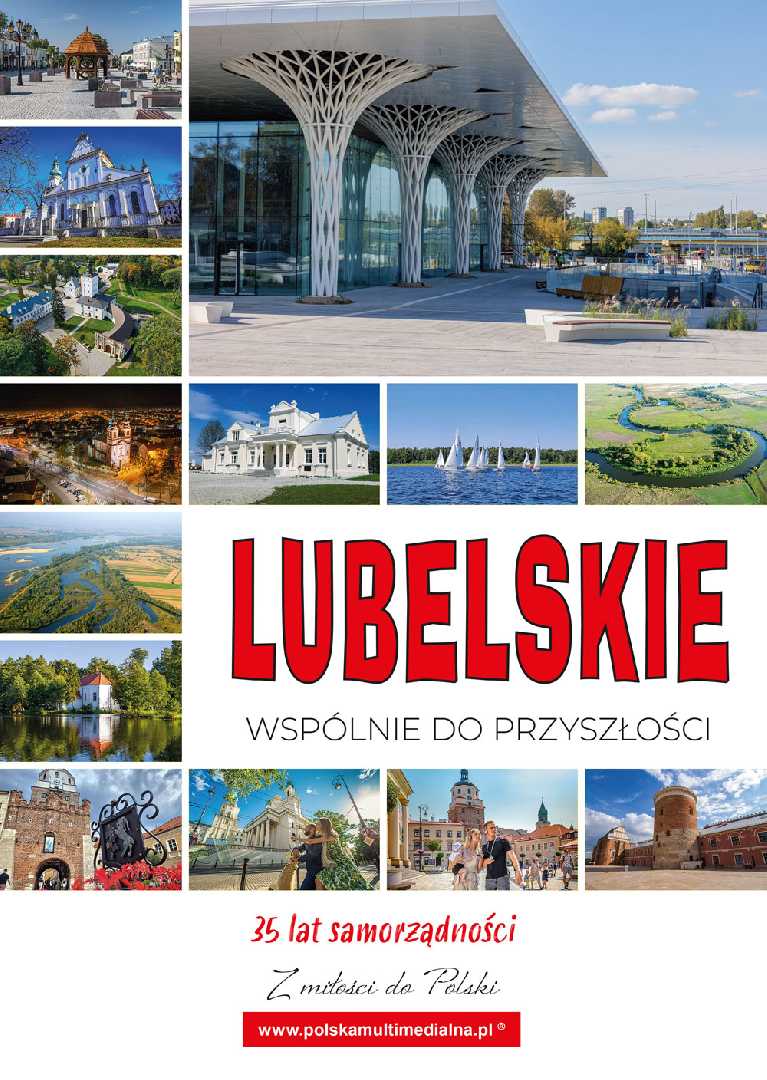 Zdjęcie do artykułu: LUBELSKIE WSPÓLNIE DO PRZYSZŁOŚCI